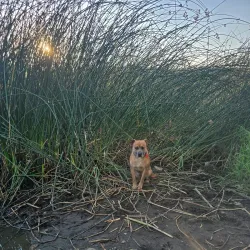 Highlands Park - Lakeport