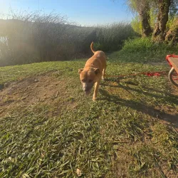 Highlands Park - Lakeport