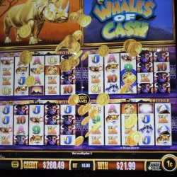 Konocti Vista Casino Resort - Lakeport