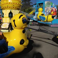 Lakeport Farmers Market - Lakeport