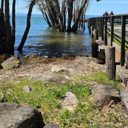 Lucerne Marina - Lakeport