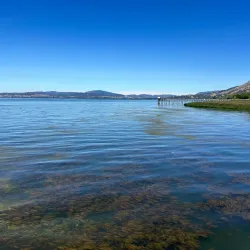 Lucerne Marina - Lakeport