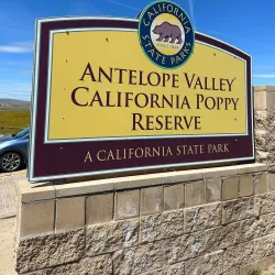 Antelope Valley California Poppy Reserve - Lancaster