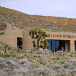 Antelope Valley California Poppy Reserve - Lancaster