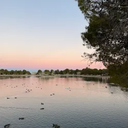 Apollo Community Regional Park - Lancaster