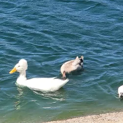 Apollo Community Regional Park - Lancaster