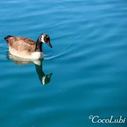 Apollo Community Regional Park - Lancaster