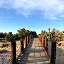 Prime Desert Woodland Preserve - Lancaster