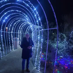 Prime Desert Woodland Preserve - Lancaster