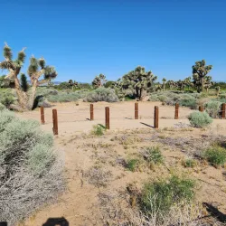 Prime Desert Woodland Preserve - Lancaster