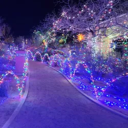 Prime Desert Woodland Preserve - Lancaster