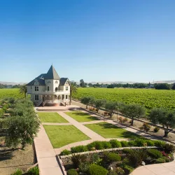 Concannon Vineyard - Livermore