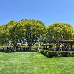 Concannon Vineyard - Livermore