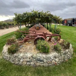 Concannon Vineyard - Livermore