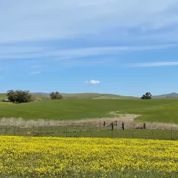 Las Positas College Arboretum - Livermore