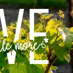 Livermore Valley Wine Country - Livermore