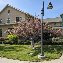 Robert Livermore Community Center - Livermore