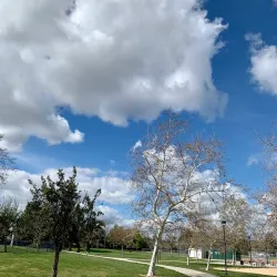 Robert Livermore Park - Livermore