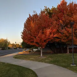 Robert Livermore Park - Livermore