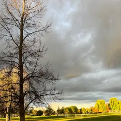 Robert Livermore Park - Livermore