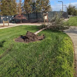 Robert Livermore Park - Livermore