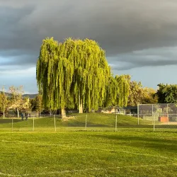 Robert Livermore Park - Livermore
