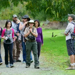 Sycamore Grove Park - Livermore
