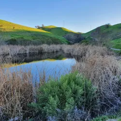 Sycamore Grove Park - Livermore