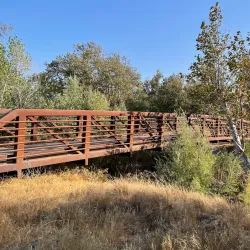 Sycamore Grove Park - Livermore