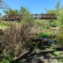 Sycamore Grove Park - Livermore