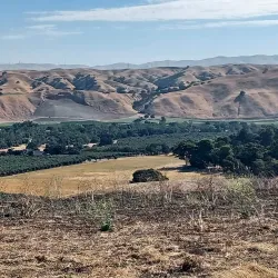 Sycamore Grove Park - Livermore