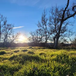 Sycamore Grove Park - Livermore