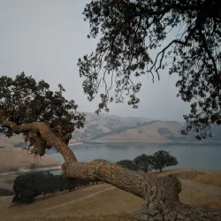 Sycamore Grove Park - Livermore