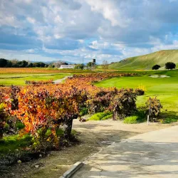 Wente Vineyards - Livermore