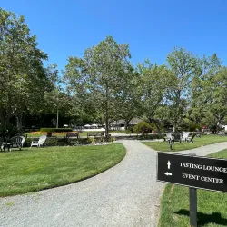 Wente Vineyards - Livermore