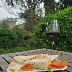 Hansen Vineyards - Lodi