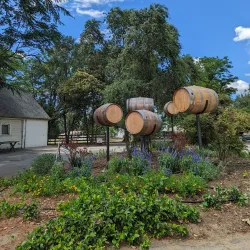 Jessie’s Grove Winery - Lodi
