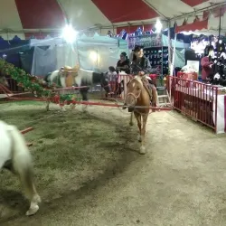 Lodi Grape Festival Grounds - Lodi