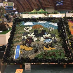 Lodi Grape Festival Grounds - Lodi