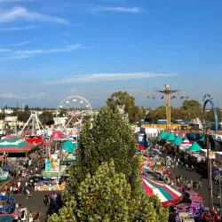 Lodi Grape Festival Grounds - Lodi
