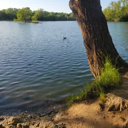 Lodi Lake Park - Lodi