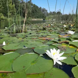 Lodi Lake Park - Lodi