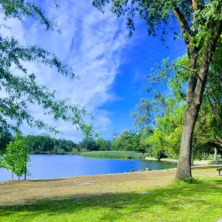 Lodi Lake Park - Lodi