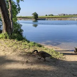 Lodi Lake Park - Lodi