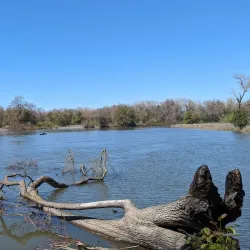 Lodi Lake Park - Lodi