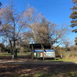 Lodi Lake Park - Lodi