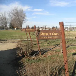 Lodi Wine Country - Lodi