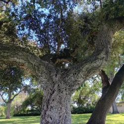 Micke Grove Regional Park - Lodi