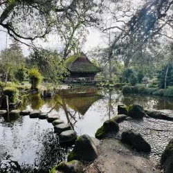 Micke Grove Regional Park - Lodi