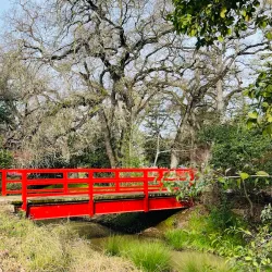 Micke Grove Regional Park - Lodi